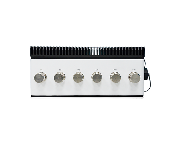 Back View